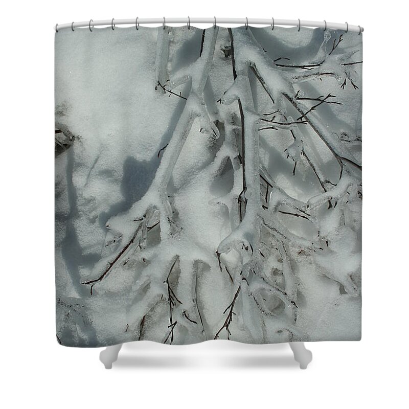 Snow Shower Curtain featuring the photograph Impressions by Joi Electa