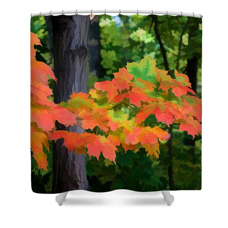 Georgia Mizuleva Shower Curtain featuring the digital art Impressions of Forests - The First Red Maple Leaves by Georgia Mizuleva