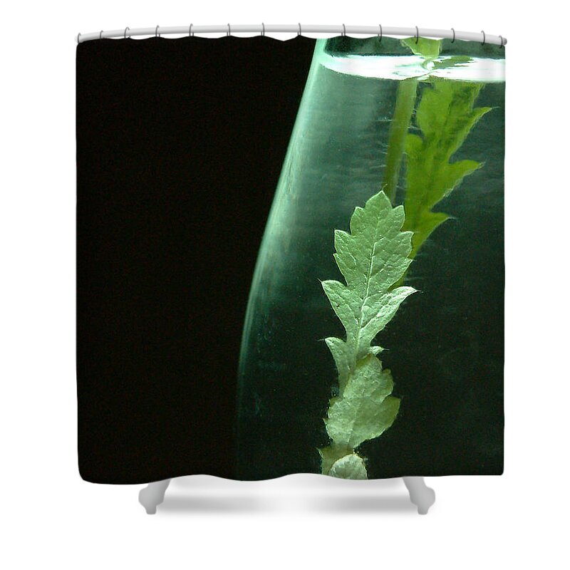 Kitchen Shower Curtain featuring the photograph In a bottle by Thomas Pipia