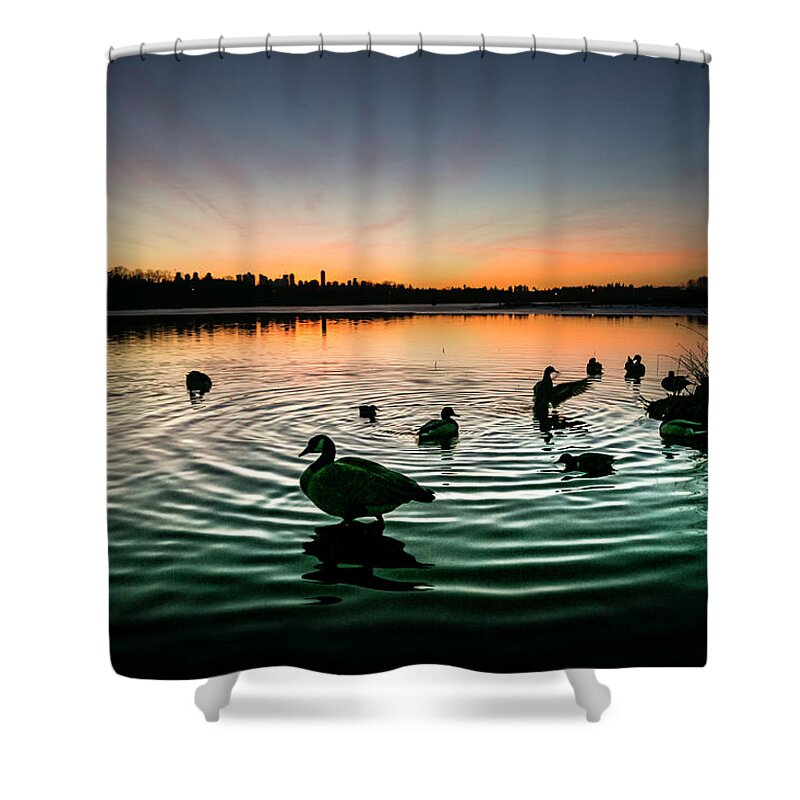 Ducks Shower Curtain featuring the photograph In a Flap by Monte Arnold