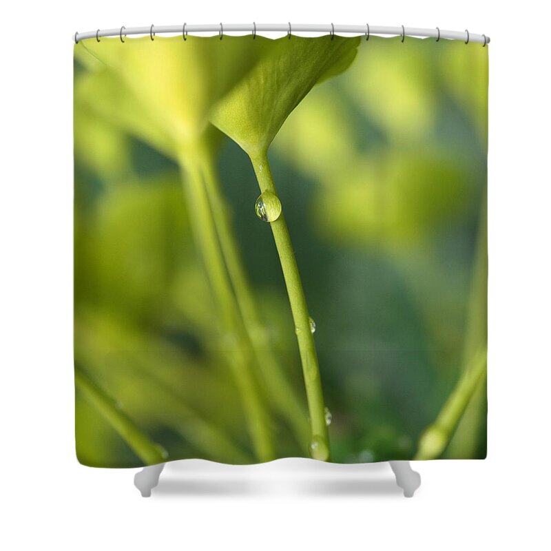 Connie Handscomb Shower Curtain featuring the photograph In a Forest Of Spurge by Connie Handscomb