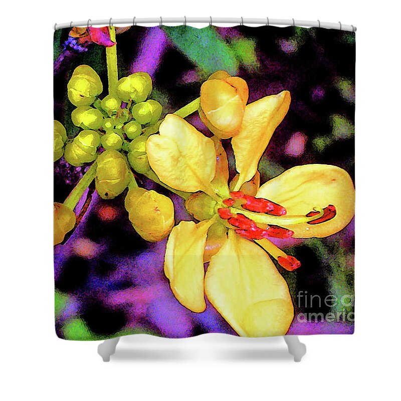 Flowers Shower Curtain featuring the photograph In Bloom by Elizabeth Hoskinson