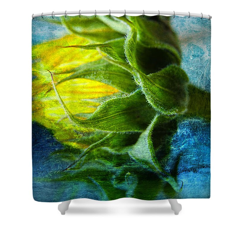 Sun Flowers Shower Curtain featuring the photograph In Blue by John Rivera