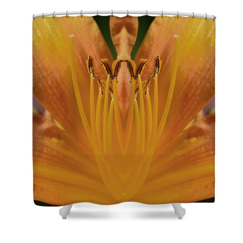 Abstract Shower Curtain featuring the photograph In Close Mandala by Lyle Crump
