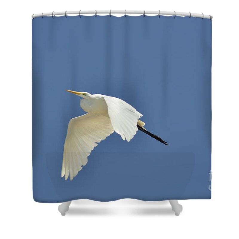 Clay Shower Curtain featuring the photograph In Flight by Clayton Bruster