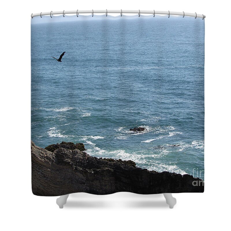 Pacific Coast Shower Curtain featuring the photograph In Flight by Julia Stubbe
