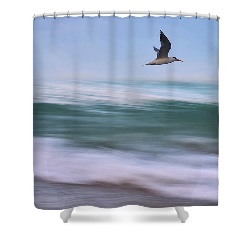 Ocean Shower Curtain featuring the photograph In Flight by Laura Fasulo