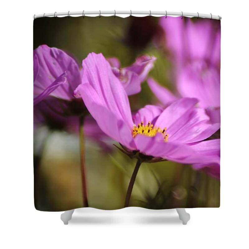 Landscape Shower Curtain featuring the photograph In Full Bloom by Sheila Ping