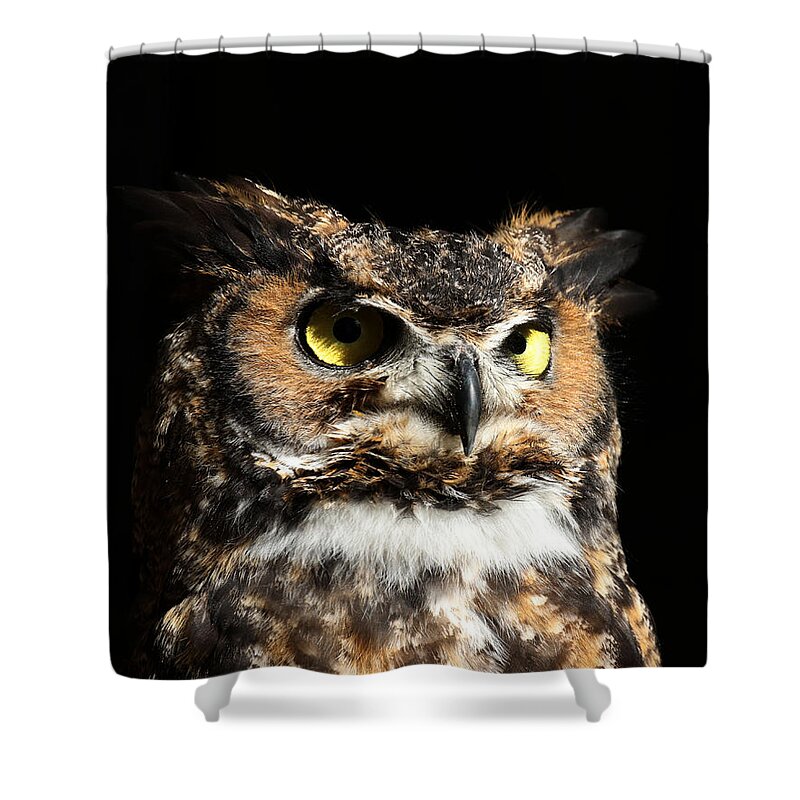 Great Horned Owl Shower Curtain featuring the photograph In his domain by Heather King