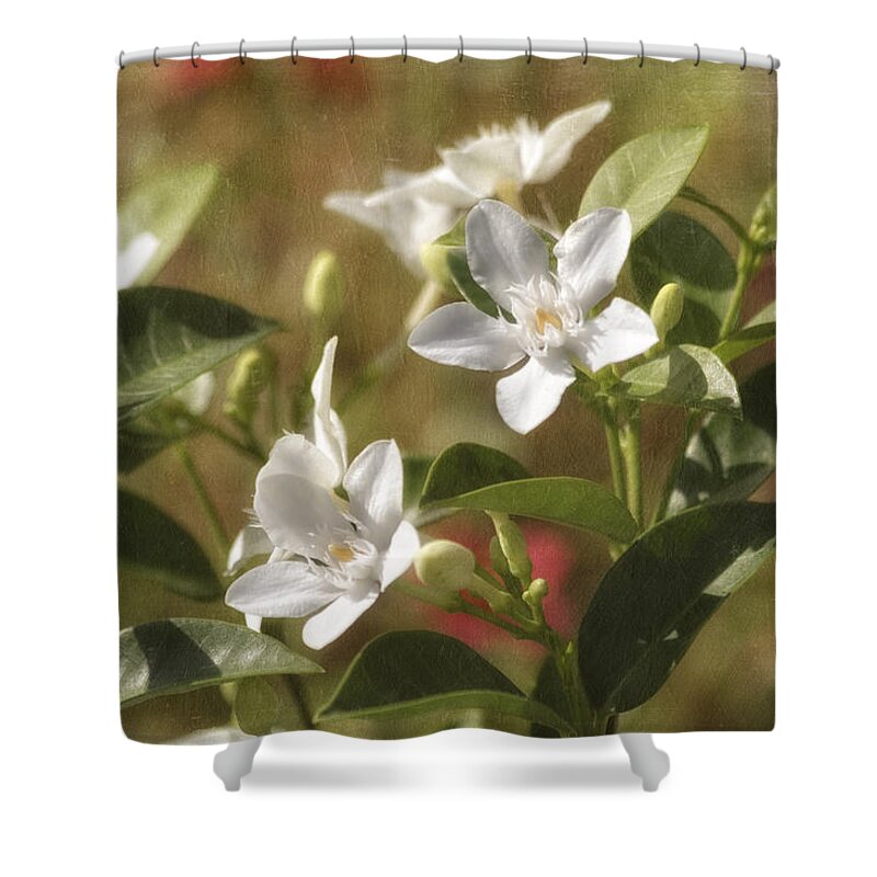 White Flowers Shower Curtain featuring the photograph In Love by Kim Hojnacki