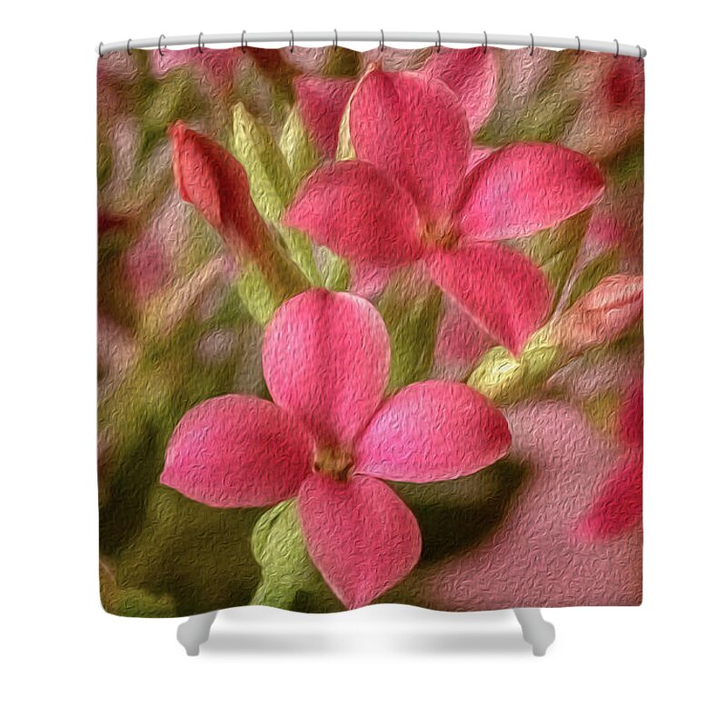 Mom Shower Curtain featuring the photograph In Memory Of Mom by Cynthia Wolfe