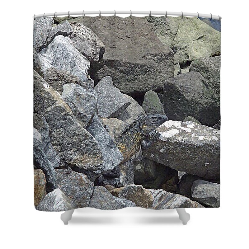 Hidden In Plain Sight Shower Curtain featuring the photograph In Plain Sight by Kathy Kelly