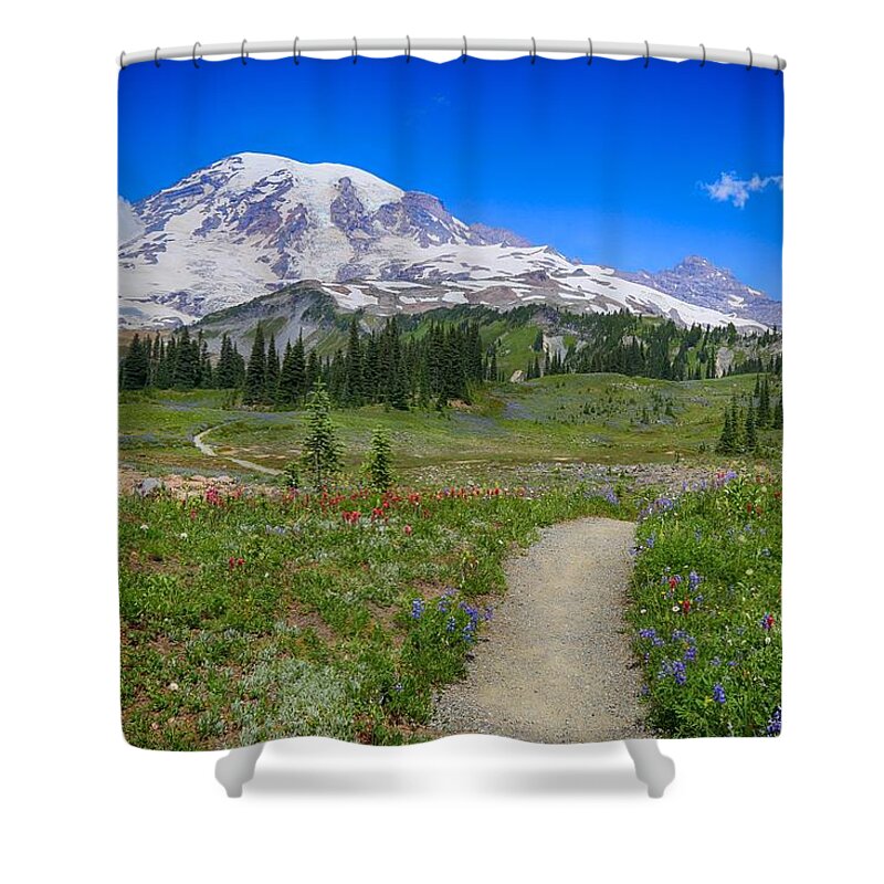 In Search Of Wildflowers Shower Curtain featuring the photograph In search of wildflowers by Lynn Hopwood