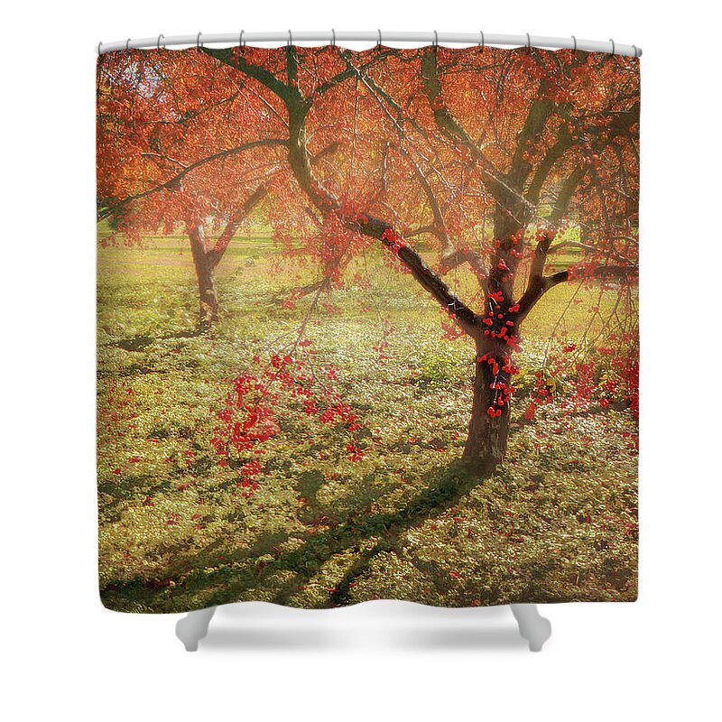 Landscape Shower Curtain featuring the photograph In Season by John Anderson
