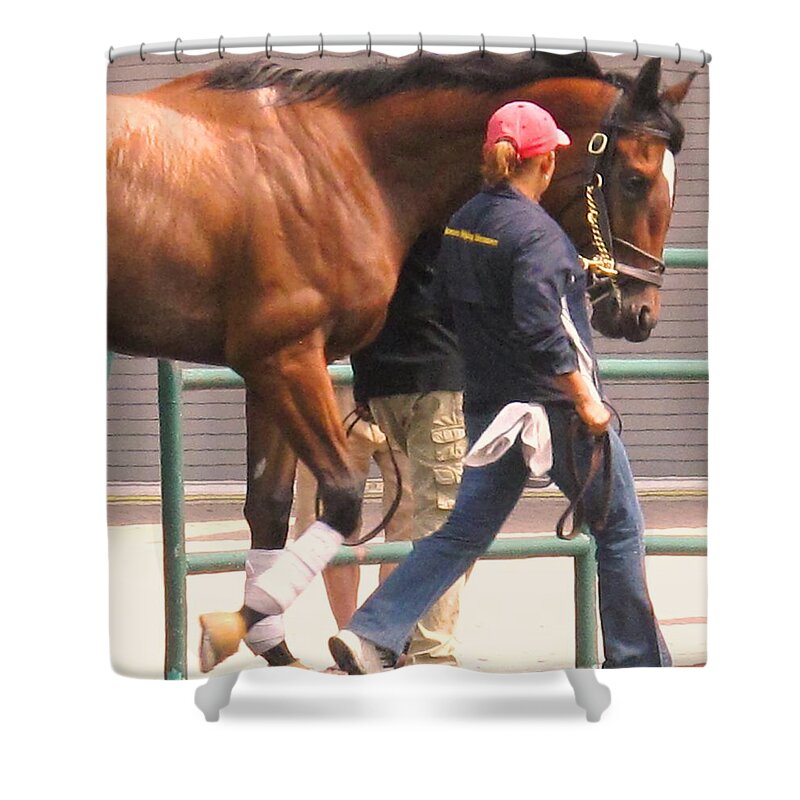 Jockey Shower Curtain featuring the photograph In Step by Ian MacDonald