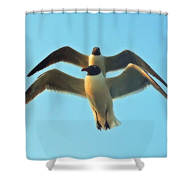 Seagulls Shower Curtain featuring the photograph In Tandem At Sunset by Sandi OReilly