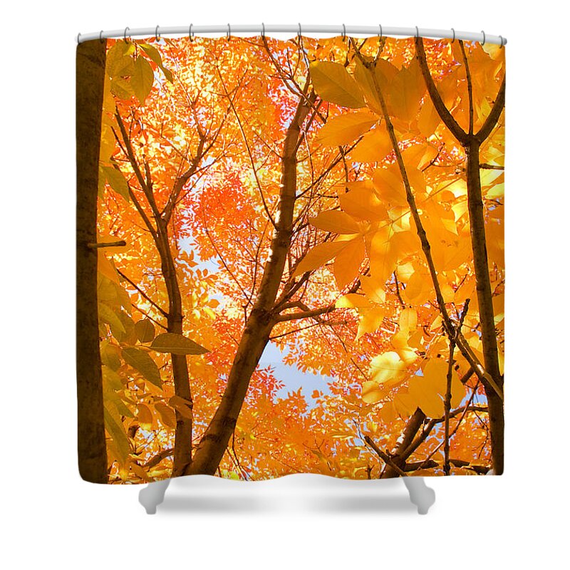 Autumn Shower Curtain featuring the photograph In the Autumn Mood by James BO Insogna
