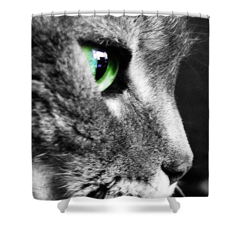 Cat Shower Curtain featuring the photograph In The Eye Of The Beholder by Cassie Wilson