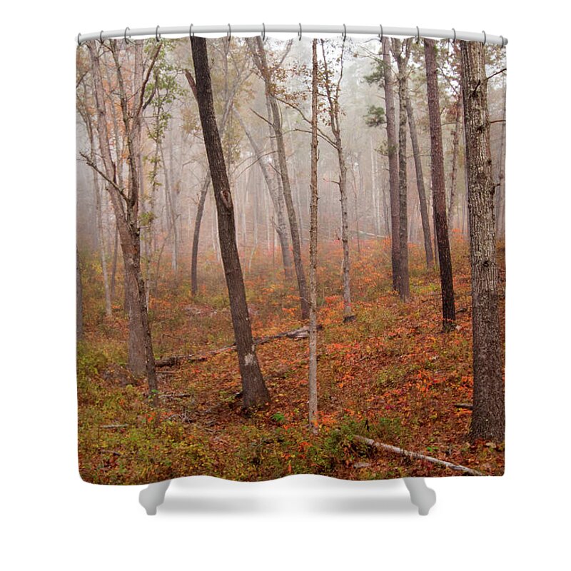 Missouri Shower Curtain featuring the photograph In the Fog by Steve Stuller
