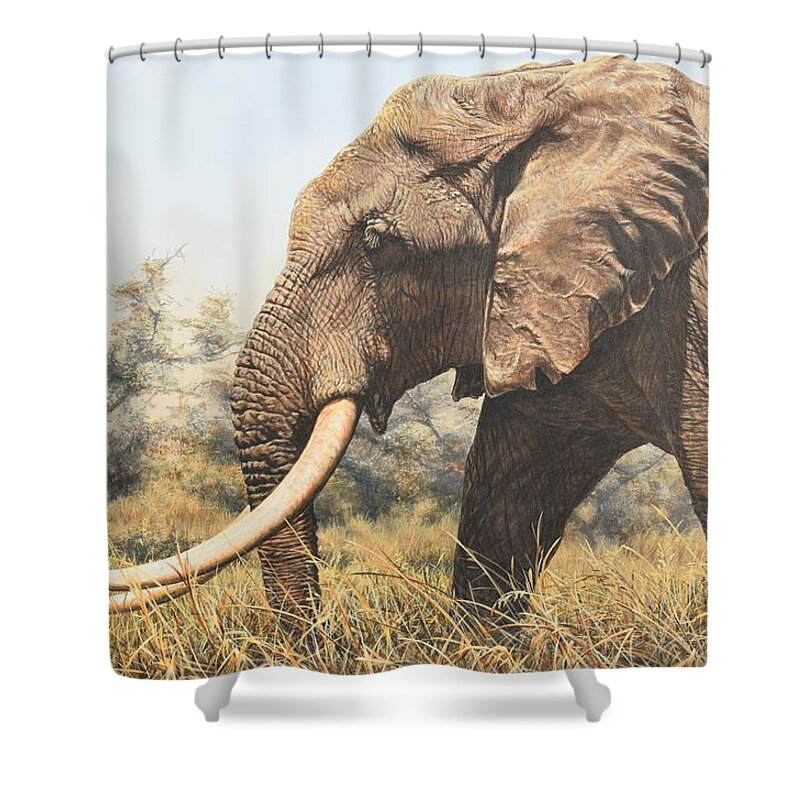 Wildlife Paintings Shower Curtain featuring the painting In the Footsteps of Elders by Alan M Hunt
