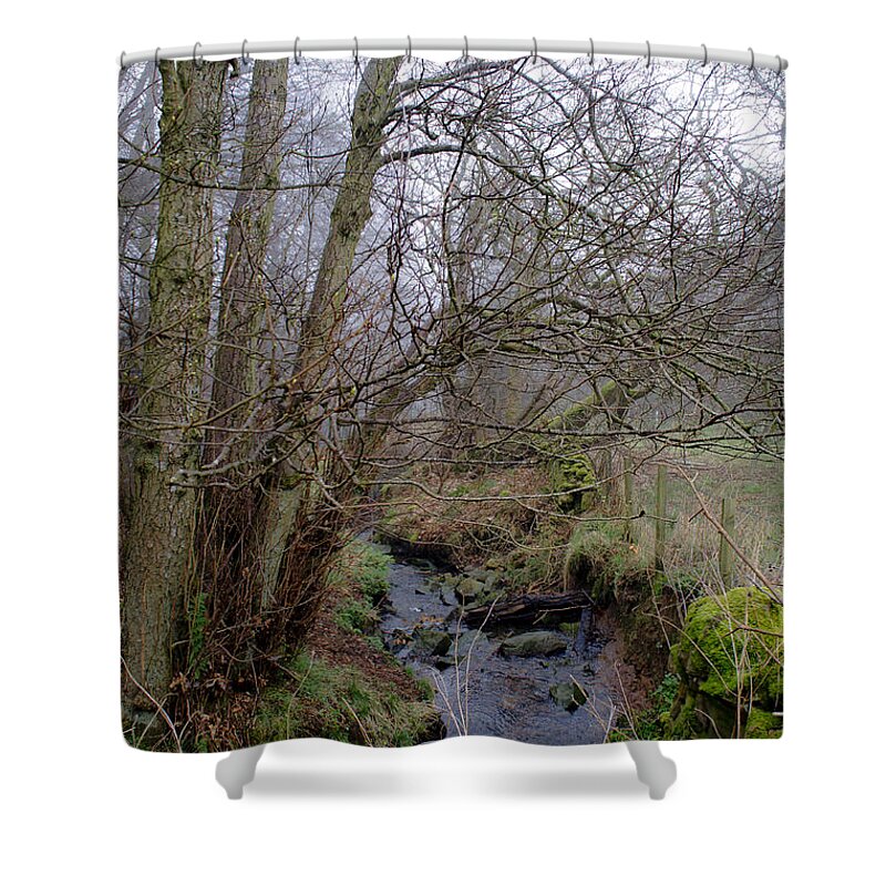 Stream Shower Curtain featuring the photograph In the Forest. by Elena Perelman