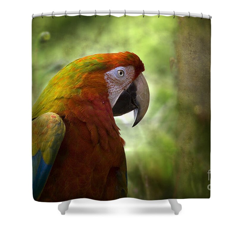 Garden Shower Curtain featuring the photograph In The Garden by Ang El