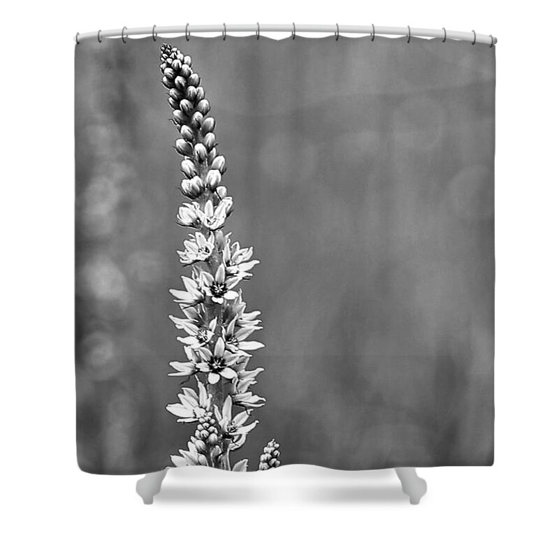 Flower Shower Curtain featuring the photograph In The Meadow by Sheila Ping