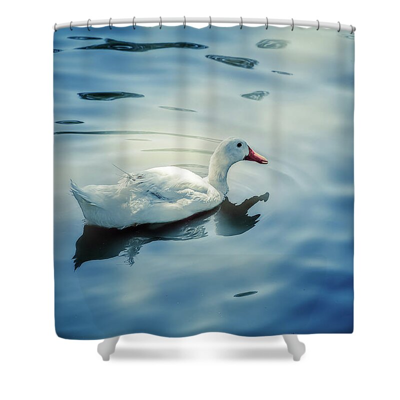 Photography Shower Curtain featuring the digital art In the Pond by Terry Davis