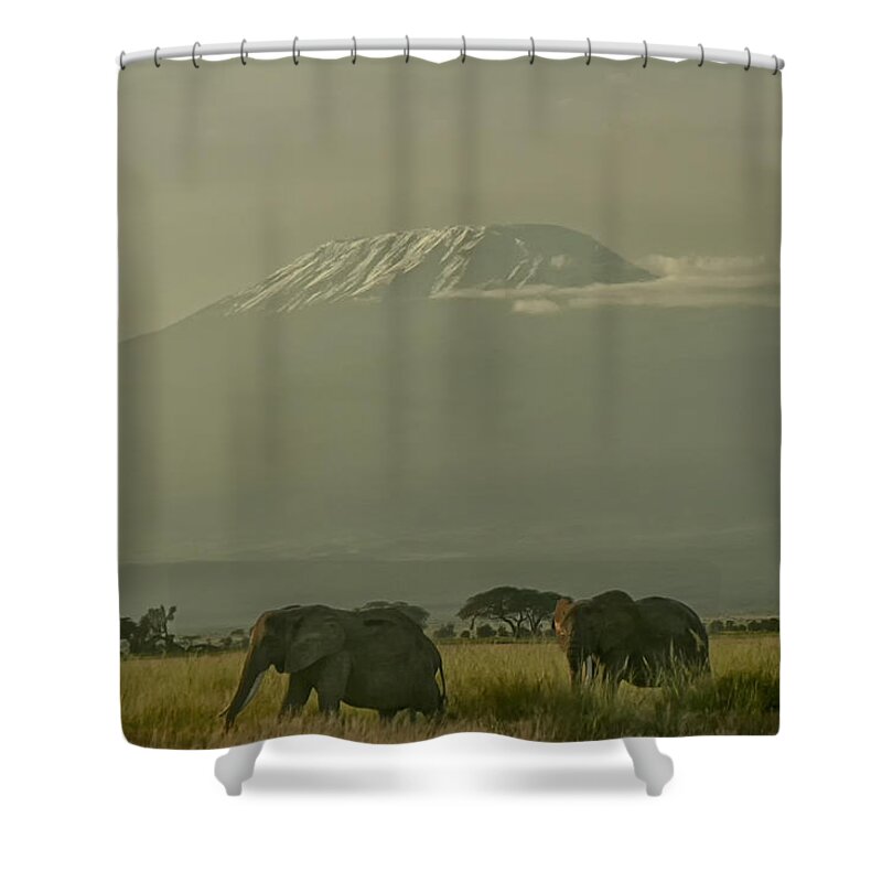 Gary Hall Shower Curtain featuring the photograph In the Shadow of Kilimanjero by Gary Hall