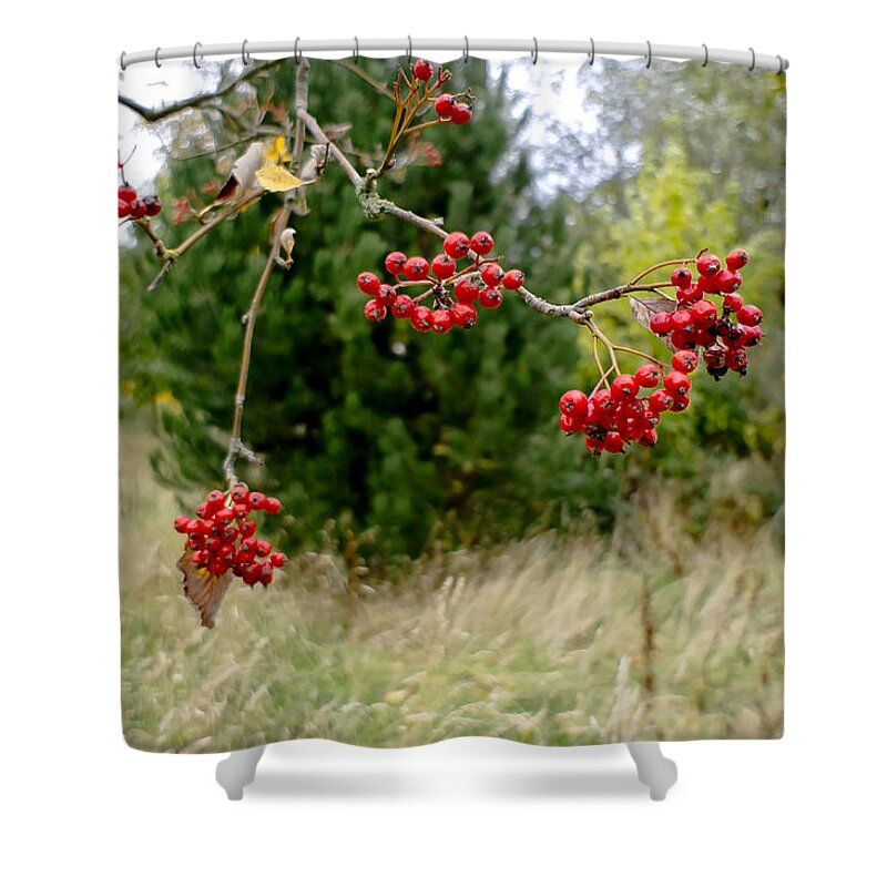 Autumn Shower Curtain featuring the photograph In the wind of leaf fall by Elena Perelman