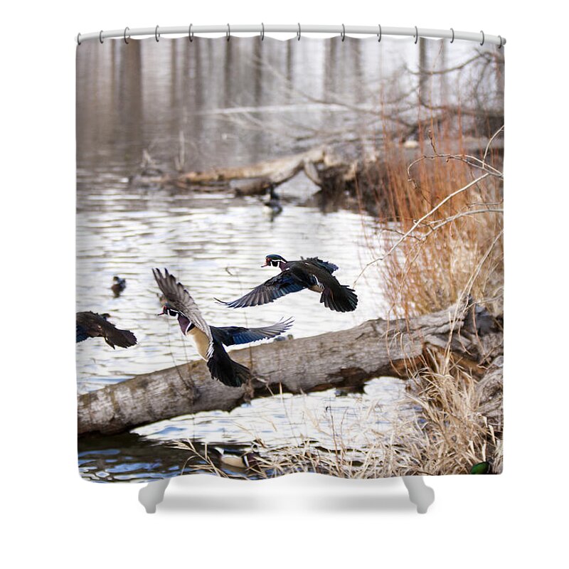 Water Shower Curtain featuring the photograph Incoming Woods by Douglas Kikendall