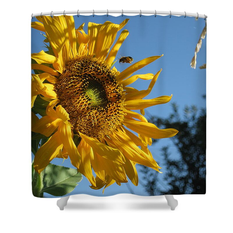  Shower Curtain featuring the photograph Incoming by Ron Monsour
