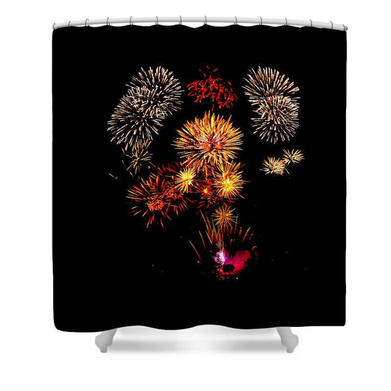 Fireworks Shower Curtain featuring the photograph Independence Day by Greg Norrell