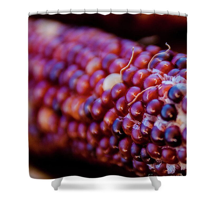 Corn Shower Curtain featuring the photograph Indian Corn 2 by Andrea Anderegg
