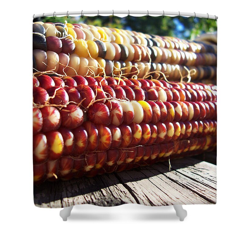 Indian Corn Shower Curtain featuring the photograph Indian Corn on The Cob by Shawna Rowe