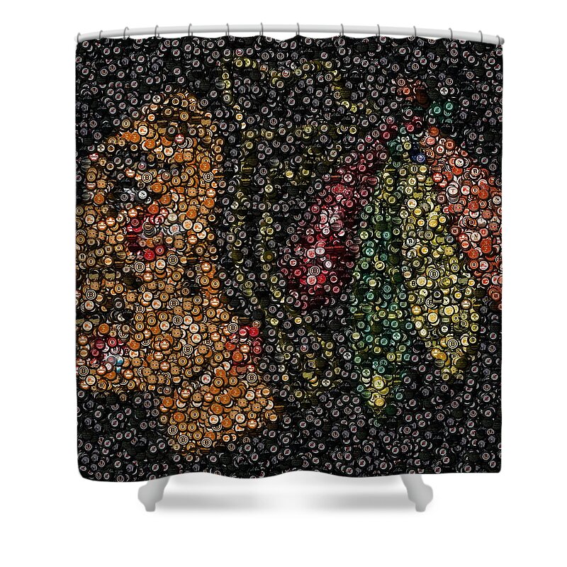 Chicago Shower Curtain featuring the mixed media Indian Hockey Puck Mosaic by Paul Van Scott