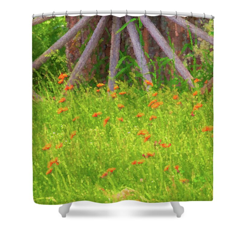 East Dover Vermont Shower Curtain featuring the photograph Indian Paintbrush Flowers by Tom Singleton