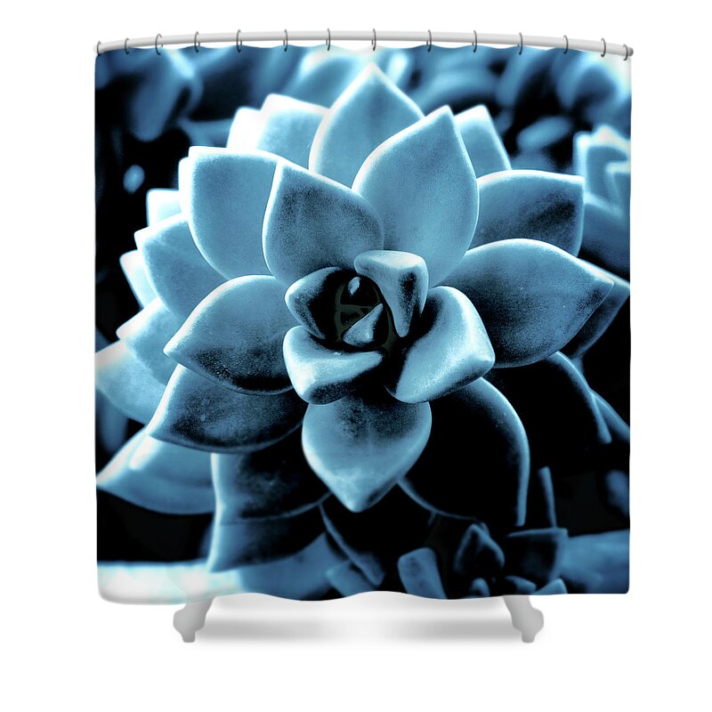 Blue Shower Curtain featuring the pyrography Indigo Succulent- Art by Linda Woods by Linda Woods