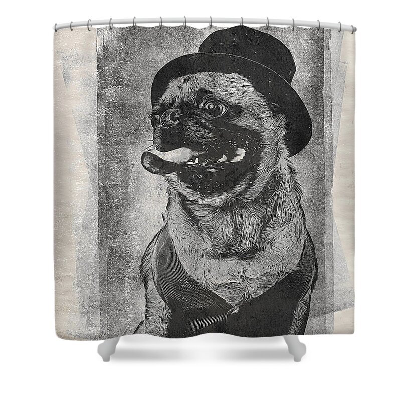 Dog Shower Curtain featuring the drawing Inky Pug by Edward Fielding