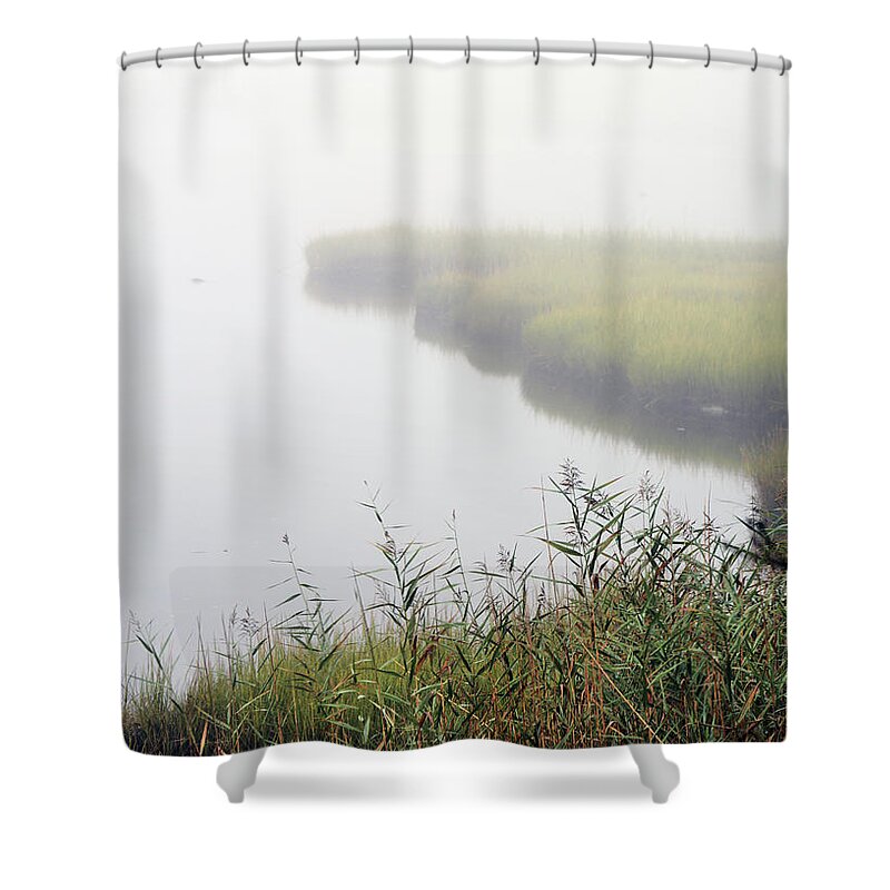 Fog Shower Curtain featuring the digital art Inlet by Dianne Morgado