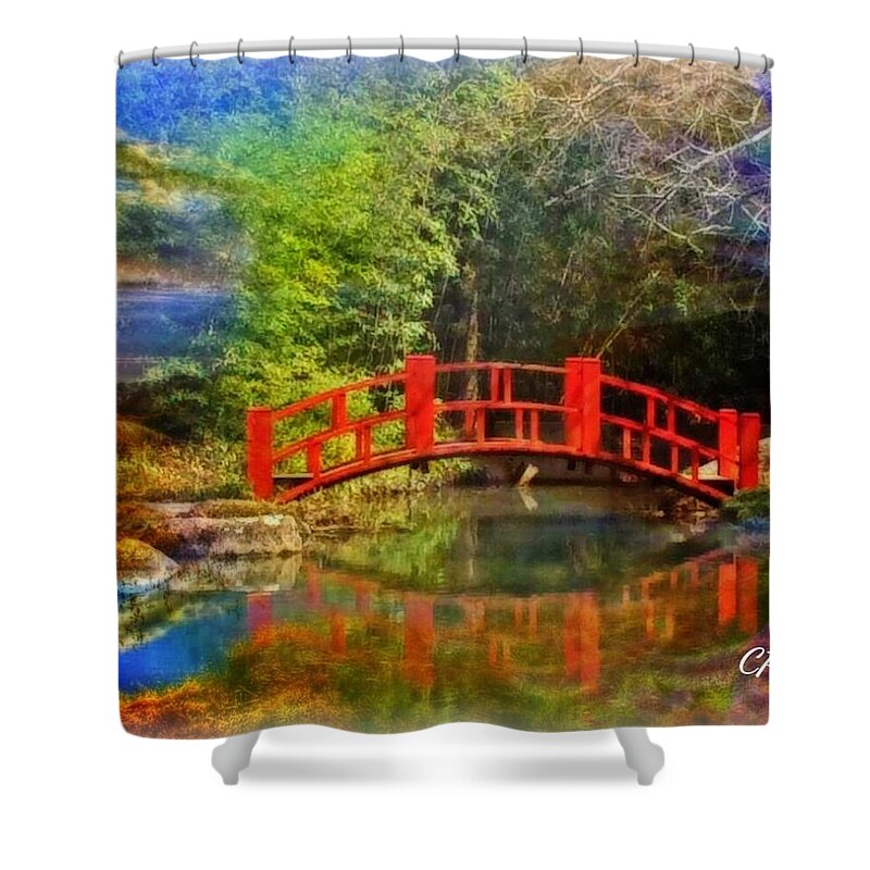 Bridge Shower Curtain featuring the photograph Inner bridges by Christine Paris