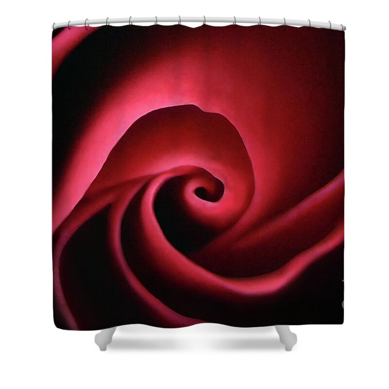 Rose Shower Curtain featuring the photograph Inner Glow by Dan Holm