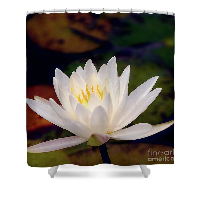 Gibbs Gardens Shower Curtain featuring the photograph Inner Glow by Doug Sturgess