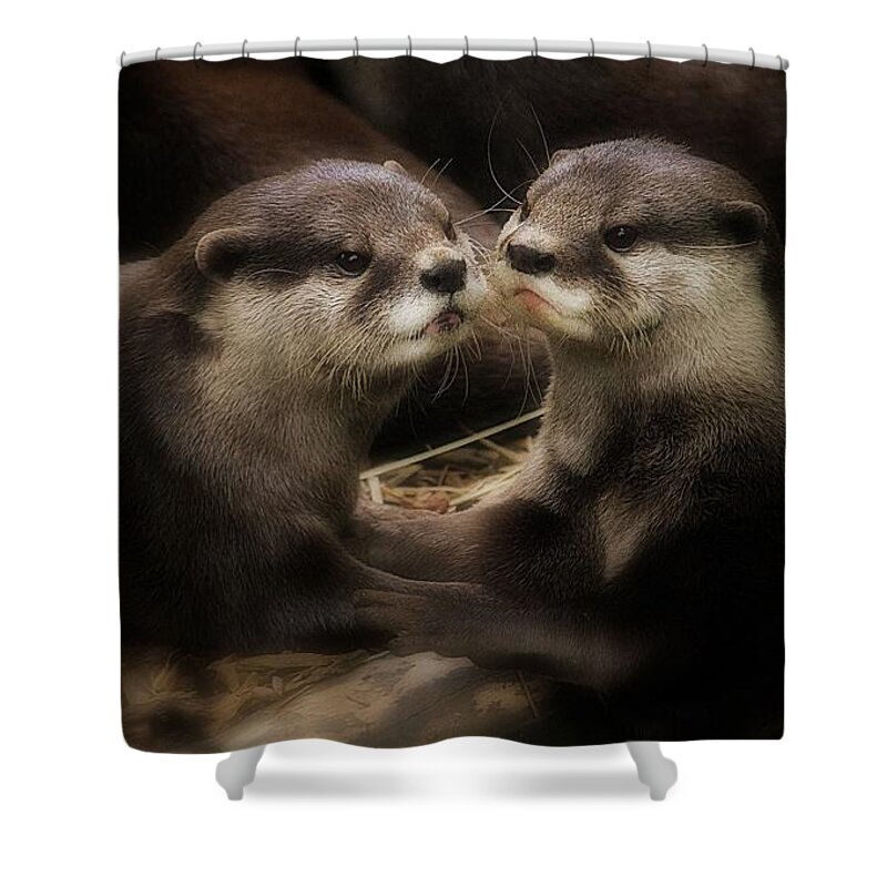 Animals Shower Curtain featuring the photograph Innocence by Kym Clarke