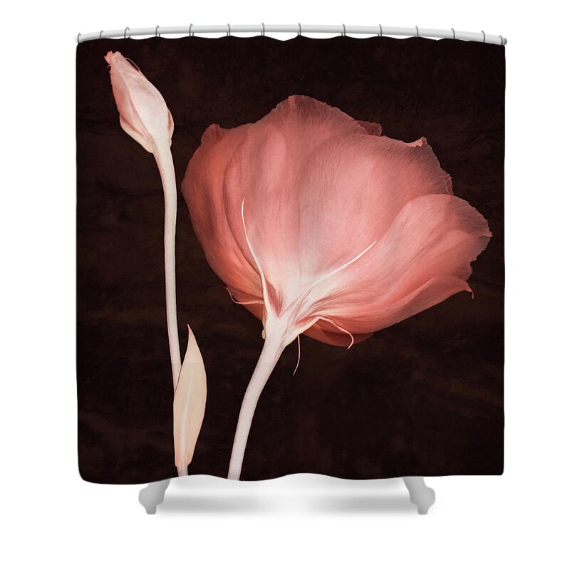 Lisianthus Flowers Shower Curtain featuring the photograph Innocence by Leda Robertson