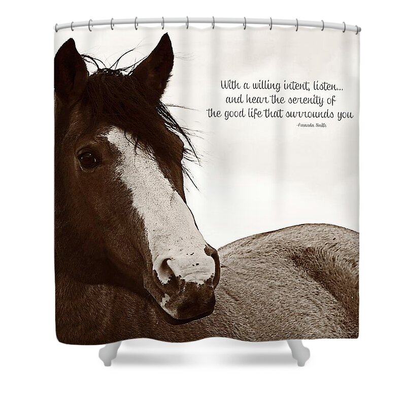 Inspirational Shower Curtain featuring the photograph Inquisition Eyes and Ears by Amanda Smith
