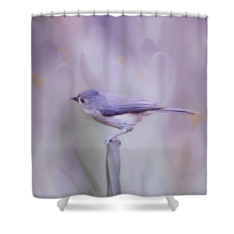 Tufted Shower Curtain featuring the photograph Inquisitive Titmouse by Carla Parris