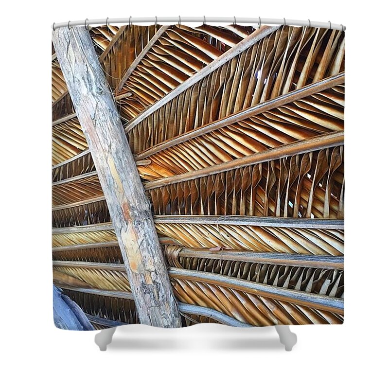 Big Island Shower Curtain featuring the photograph Palm thatch detail by Eugene Evon