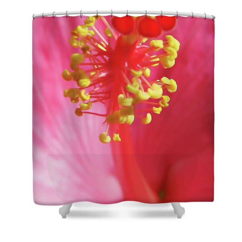 Hibiscus Shower Curtain featuring the photograph Inside The Hibiscus by D Hackett