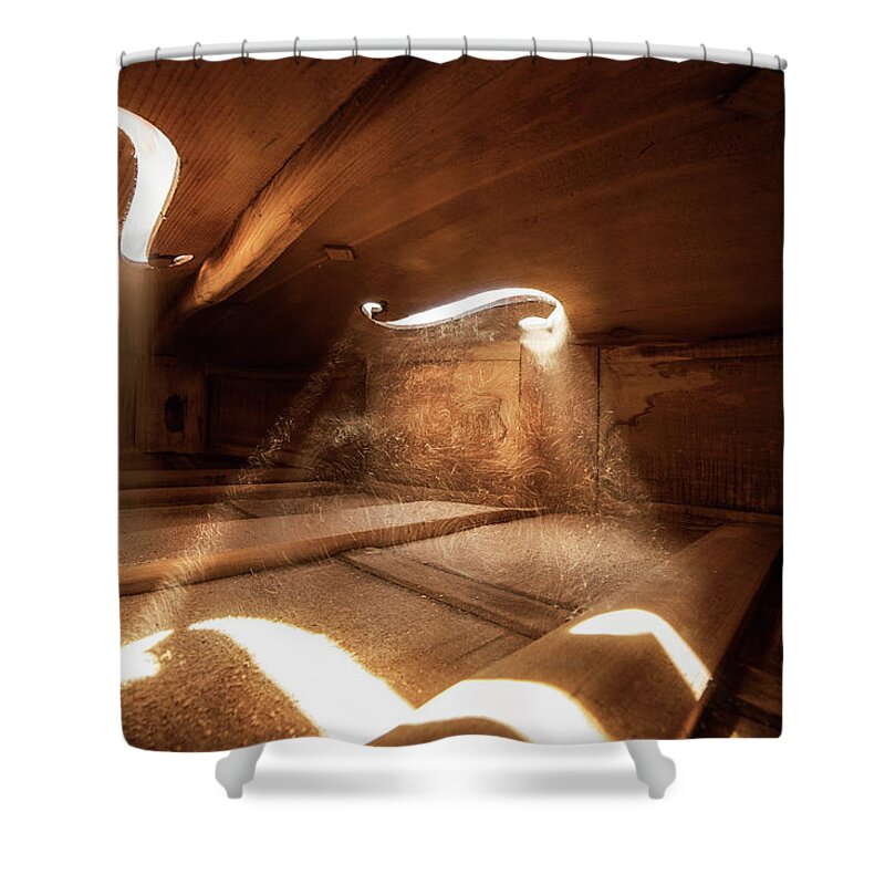 Violin Shower Curtain featuring the photograph Inside Violin III by Adrian Borda